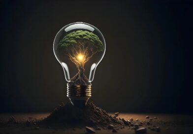 qué es la ecoinnovación