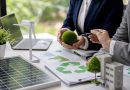 El papel de la asesoría empresarial en la transición ecológica