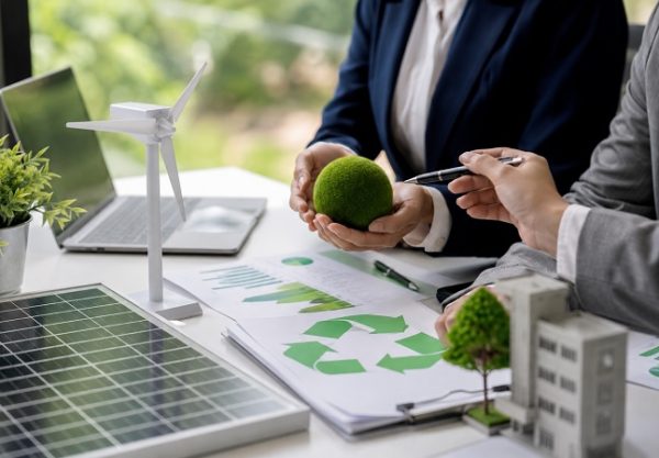 El papel de la asesoría empresarial en la transición ecológica